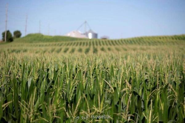 ثبت رکورد تاریخی در هزینه کشاورزی