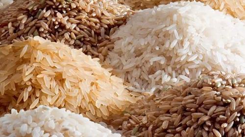 افزایش 30 درصدی واردات برنج در سال 1401 به نسبت یک دهه اخیر