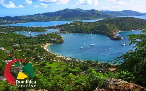 انتخاب پاسپورت دومینیكا برای پاسپورت دوم