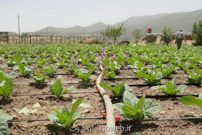 جزئیات جدید از نحوه آبیاری اراضی 46 هزار هكتاری دشت سیستان