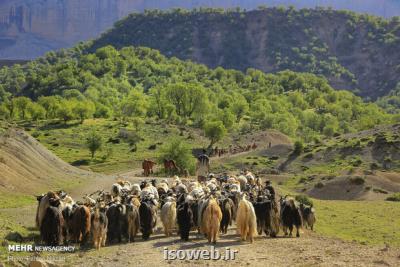 عشایر با خشكسالی سختی مواجهند