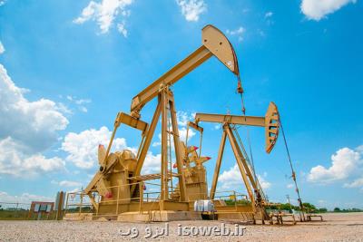افزایش قیمت نفت خام ادامه دار شد