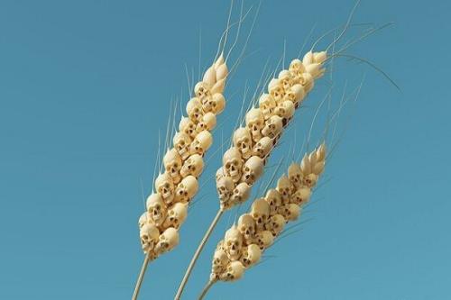 بازگشت هفت گاو لاغر بعد از چهار هزار سال