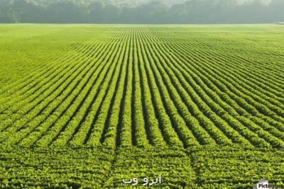 برخورد جدی با تغییر کاربری غیر مجاز اراضی کشاورزی