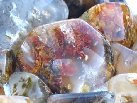 دوره های آموزشی گوهرسنگ در ۳۱ استان