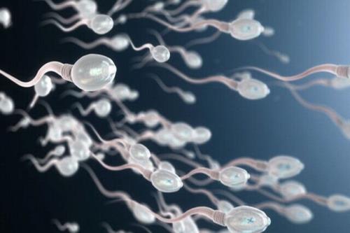 حمایت بنیاد ملی علم از ساخت تراشه جداکننده اسپرم جهت درمان ناباروری