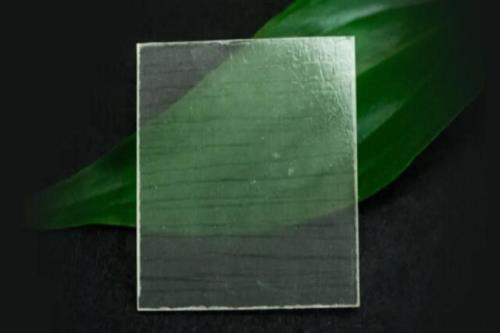 نمایشگر گوشیهای آینده از چوب شفاف ساخته می شوند