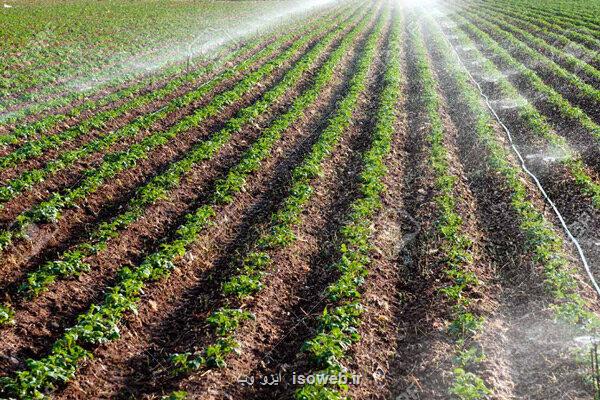 فعالان بخش کشاورزی تا انتهای سال شناسه یکتا دریافت کنند