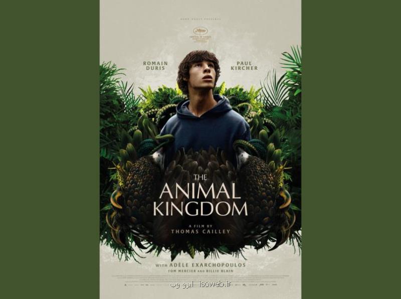 نقد فیلم قلمرو حیوانات (The Animal Kingdom)