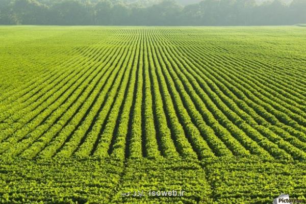 کشاورزان با فراهم سازی بستری مناسب در مصرف بهینه آب گام بردارند