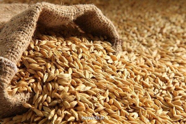 ثبت سفارش جدید جو فردا شروع می شود