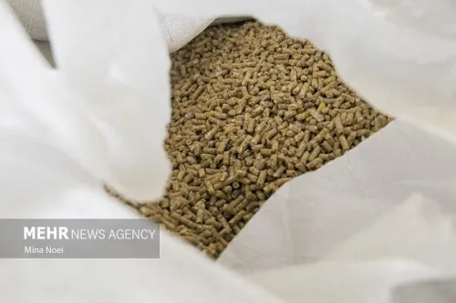 پیشنهاد تشکل های نهاده دامی برای ساماندهی بازار از تامین تا توزیع