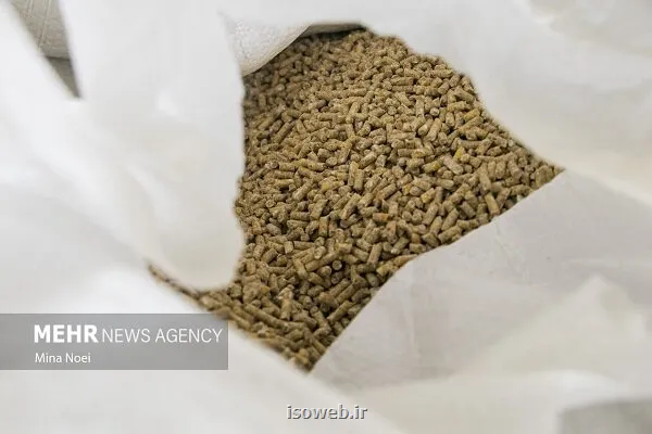 پیشنهاد تشکل های نهاده دامی برای ساماندهی بازار از تامین تا توزیع