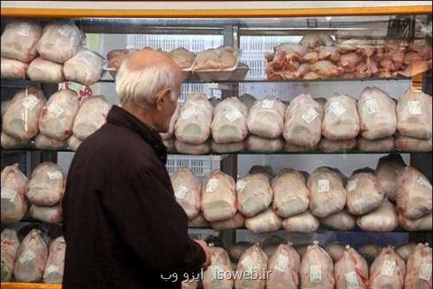 قیمت مرغ در خرده فروشی ها ۷۷۰۰تومان، محدودیتی در عرضه وجود ندارد