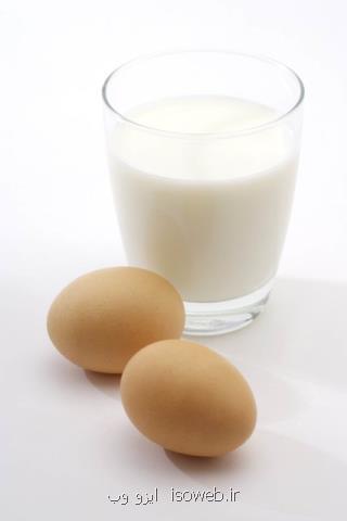 كاهش ۶ درصدی تولید شیر و تخم مرغ در سال ۱۳۹۶