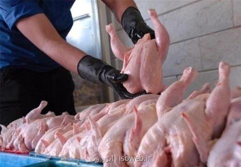 قیمت مرغ ۹۸۰۰ تومان تعیین شد، نامه اعتراضی مرغداران به رئیس جمهوری