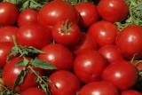 ۴۴تن گوجه فرنگی قاچاق كشف شد، توزیع محصولات بین زلزله زدگان