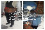 كشف برنج و شیرخشك قاچاق در جلیقه مسافران تركمنستانی!