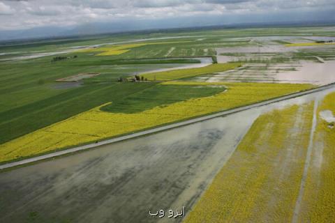 پرداخت تسهیلات ۵ هزار میلیاردی به كشاورزان سیل زده
