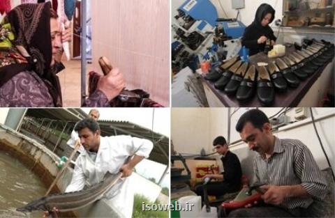 طرحی برای حفظ ۱ و هفت دهم میلیون شغل در بخش تعاون