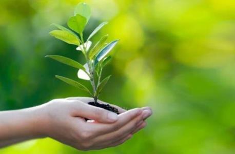 اجرای طرح پایش محصولات كشاورزی در 7 استان