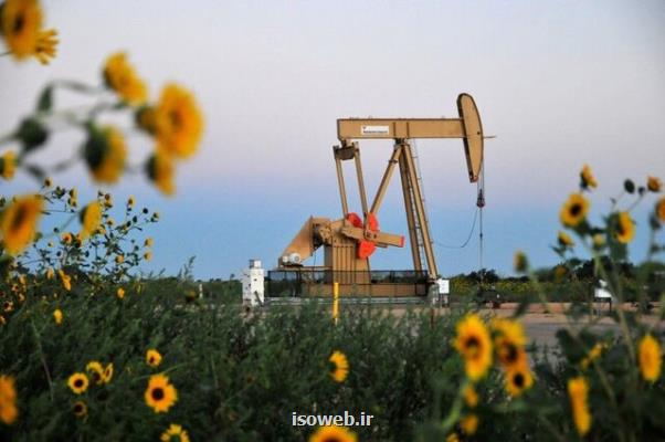 نفت دلیل جدید برای افزایش قیمت پیدا كرد