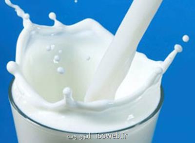 تصویب خرید حمایتی شیر خام مازاد دامداران توسط دولت