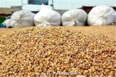 تأمین نهاده های كشور از جانب ۵۳ شركت وارداتی