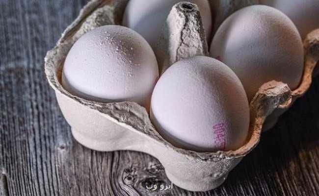 قیمت هر كیلو تخم مرغ برای مصرف كننده چقدر است؟