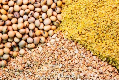 تخصیص ارز ۴۲۰۰ تومانی اقتصاد را دولتی تر كرد